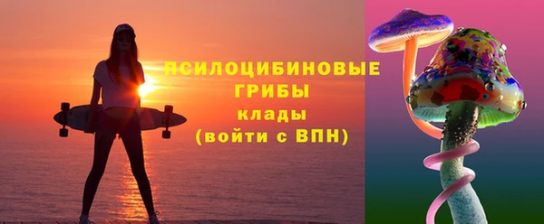 первитин Богданович