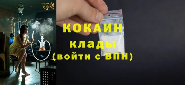 первитин Богданович