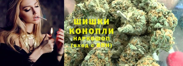 мдпв Богородск