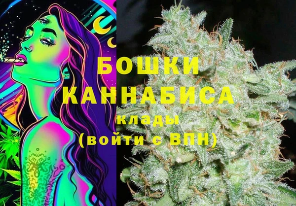 мдпв Богородицк