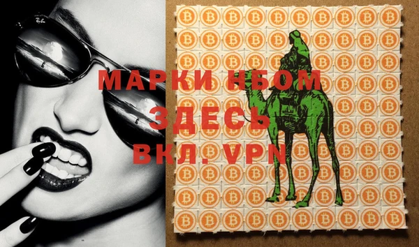 мдпв Богородицк