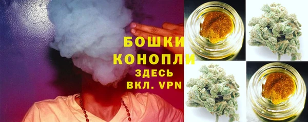 мдпв Богородицк