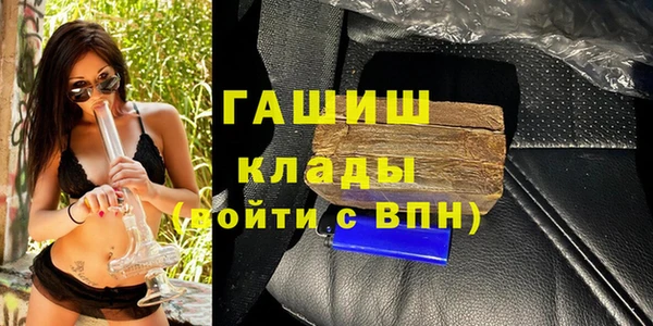 мдпв Богородск