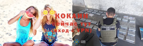 мдпв Богородицк