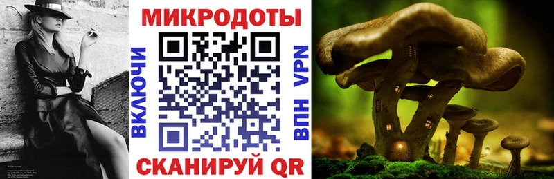 где купить наркоту  Вельск  Галлюциногенные грибы Psilocybine cubensis 